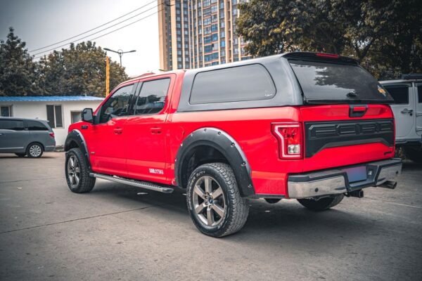 Ford F-150 Raptor 2015 - Image 6