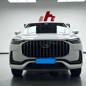 2023Chery Tiggo9*