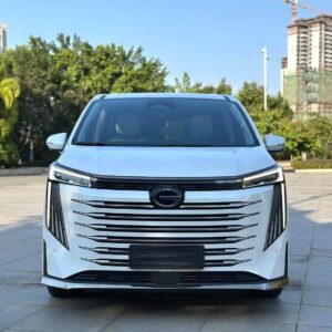 2023 Trumpchi E9*