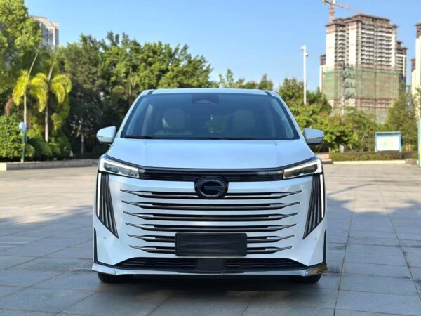 2023 Trumpchi E9*