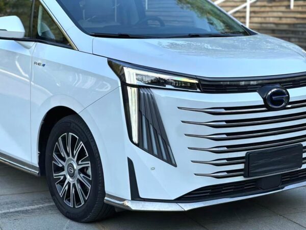 2023 Trumpchi E9* - Image 15