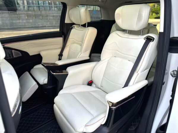 2023 Trumpchi E9* - Image 12