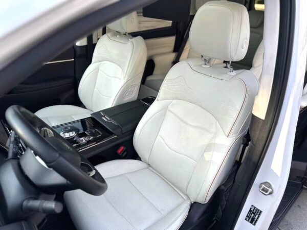 2023 Trumpchi E9* - Image 11