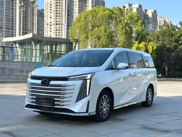 2023 Trumpchi E9* - Image 10