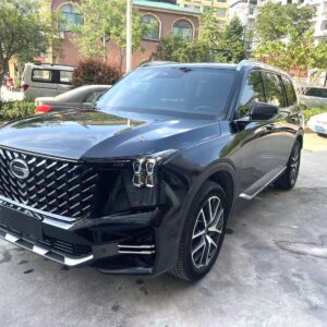 2024 Trumpchi GS8*