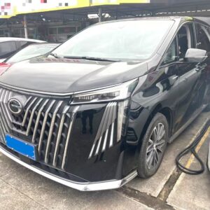 2024 Trumpchi E9*